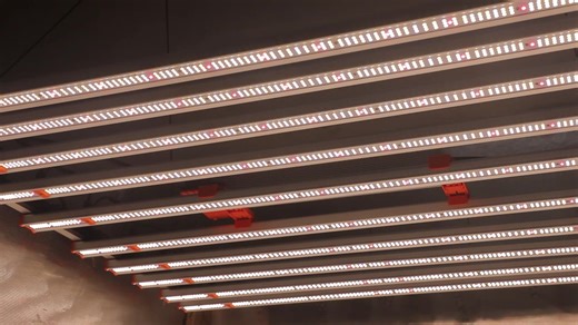 1000W LEDGROWLIGHT Spider Farmer 10 Bar SE1000W Dimmable Hydro Full Spectrum CO2 1000 Watt LED Grow Light