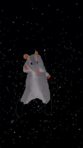 dance mouse 🐭