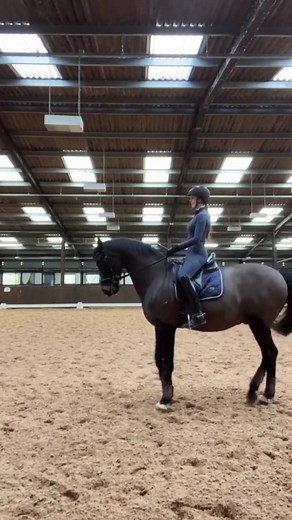 Dressage Training Techniques for Arabian Horses