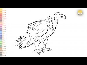 Simple drawing Vulture | How to draw A Vulture step by step