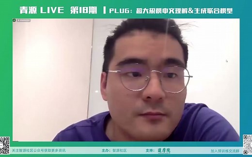 青源 LIVE 第 18 期 | 达摩院王玮：超大规模中文理解&生成联合模型PLUG