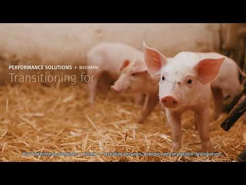 Animal Nutrition and Health: Transitioning for a more sustainable future