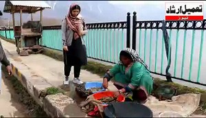 55K views · 401 reactions | J&K Lake Conservation & Management Authority Organised a womens day programme around the Dal lake. Project Officer watershed Management Division Ms. Gazalla Abdullah has interacted with women Dal dwellers and she highlighted the importance of this day and gender equality. | Tameel Irshad | Facebook