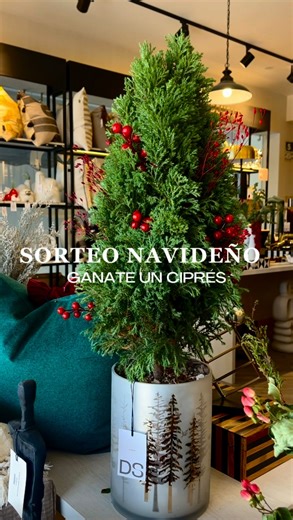 DecoStudio Store on Instagram: "🎄𝐒𝐎𝐑𝐓𝐄𝐎 𝐍𝐀𝐕𝐈𝐃𝐄𝐍̃𝐎 𝐄𝐍 𝐃𝐄𝐂𝐎𝐒𝐓𝐔𝐃𝐈𝐎 𝐒𝐓𝐎𝐑𝐄 ✨ Queremos celebrar esta temporada regalando un Ciprés Navideño para llenar tu hogar de encanto y calidez. ❤️🎁 Participar es muy fácil: ⭐ 1. Sigue ambas cuentas: @decostudio_peru Y @decostudio.store ⭐ 2. Etiqueta a 2 amig@s que aman la decoración. (Mientras más comentarios, más opciones de ganar ✨) ⭐ 3. Comparte este post en tus historias mencionando a @decostudio.store ¡Y listo! Estás particip