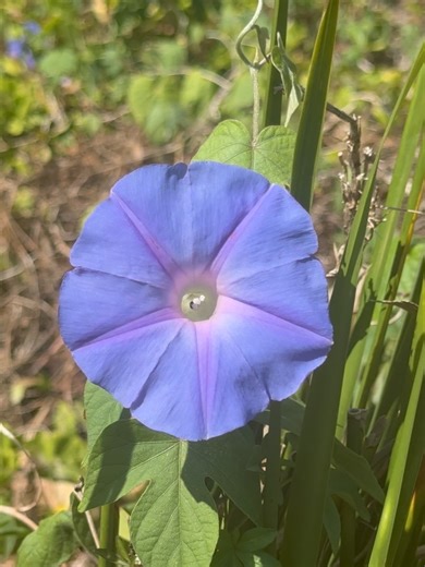 Eva Arielle Calvert on Instagram: "slower days, soft thoughts, happy heart 🫶🏻"