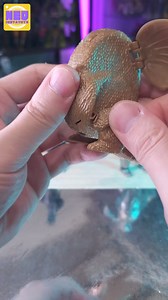 14K views · 232 reactions | REVIEW REPAINTED Godzilla Egg 哥吉拉變形蛋 哥吉拉蛋...