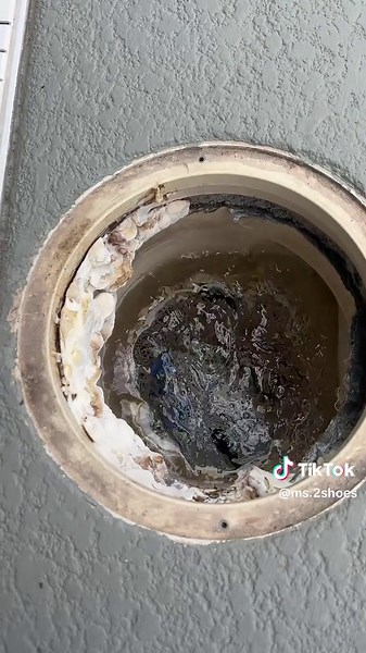 Mushrooms in My Pool: Surprising Discoveries