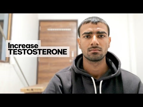 How To Increase Testosterone Straight To The Point