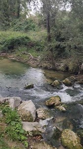 9.4K views · 139 reactions | Un luogo di straordinaria bellezza...il Fiume incantato sul Musone...luogo ideale per famiglie e bambini | Fishing Passion & Feeder | Facebook