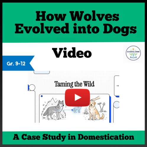 How Wolves Evolved into Dogs - A Case Study on Domestication