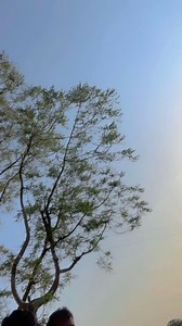 870K views · 10K reactions | #fbreels #reelsvideo #facebookreels #trandingvideo #reels #post #trading #viralvideo #tranding #facebookvideo | Priyanka Chouhon | Facebook