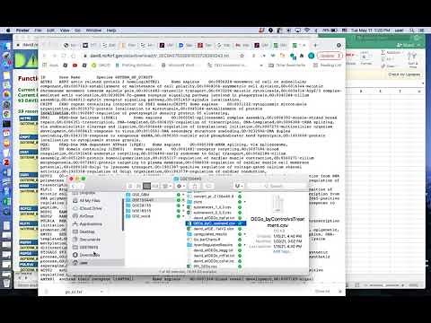 How to do Gene Ontology (GO) enrichment analysis with DAVID