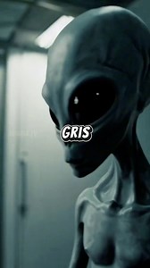 Enigma TV on Reels | Facebook