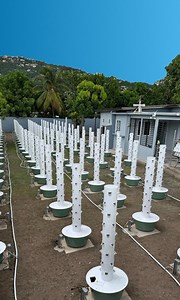 What Are the Benefits of Vertical Farming?