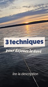🎯 Vous cherchez à capturer le doré ? Voici 3 techniques prouvées : 1️⃣ Drop-shot : Gardez votre leurre immobile près du fond, avec une présentation discrète. Cette technique attire les dorés les plus méfiants en imitant une proie naturelle qui se repose sur le fond. Idéale lorsque les poissons sont difficiles à séduire. 2️⃣ Traîne lente : Ralentissez votre traîne à environ 2 km/h pour couvrir une large zone. Cette méthode permet de localiser les dorés actifs tout en maintenant un rythme qui n’e