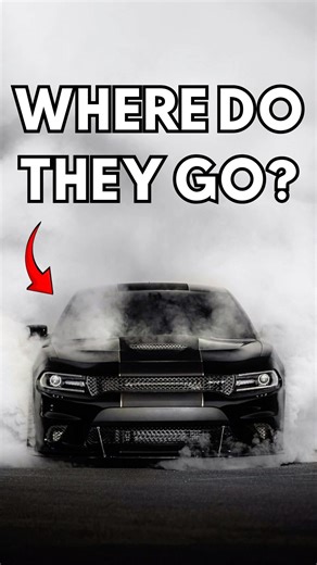 Where Do Stolen Cars Go?