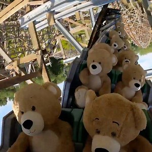10M views · 97K reactions | This is the most ADORABLE roller coaster...