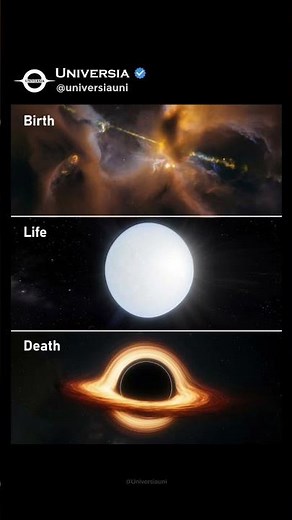 Birth, Life, and Death of a Star: From Nebula to Black Hole