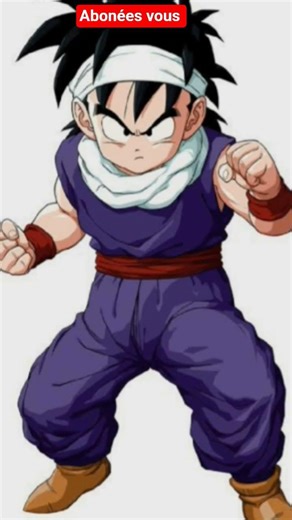 gohan de bébé à adulte