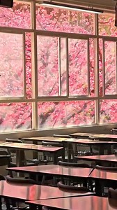 12K views · 155 reactions | In a college classroom in #Kunming, #Yunnan Province, #spring's charm is in full bloom. Walk through the door, and you're greeted by the sight of cherry blossoms dancing gracefully in the breeze just outside the window. #TrendinginChina | Xi's Moments | Facebook