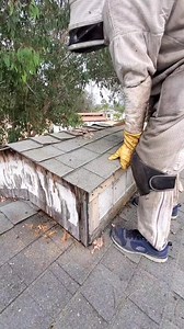 265K views · 2K reactions | Have you ever seen a stampede of 60k bees?! You can watch this entire barn rescue here: https://t.snapchat.com/nQAlQLgY #bees #bugs #animals #honeycomb #nature #farm #barn #savethebees | Mr. Mrs. Bee Rescue | Facebook