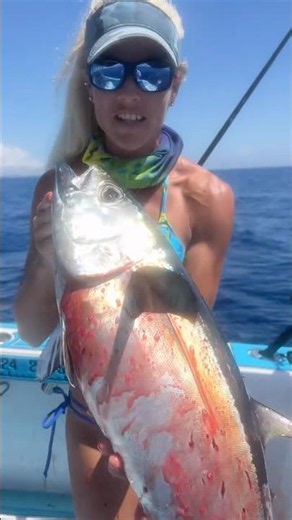 Blackfin Tuna caught on the @Piscifun Kraken X electric reel!🐟💪 #piscifun
