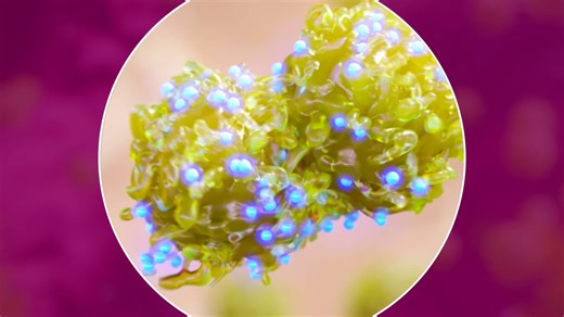 #immunology #celltherapy #whatsciencecando | AstraZeneca | 30 comments