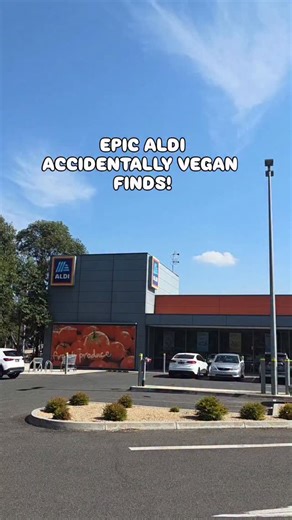 Epic Accidentally Vegan Finds at ALDI!⁠ ⁠ Here I am again. With another truly epic vegan haul at ALDI Australia.⁠ ⁠ ALDI has some fantastic accidentally vegan finds that are worth checking out. From crackers to sour lollies - there's some great gems to be found.⁠ ⁠ Let me know what I missed down below!⁠ ⁠ #aldi #aldiveganhaul #veganhaul @aldiaustralia | that_vegan_dad