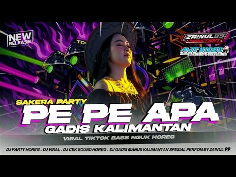 DJ P P APA - GADIS MANIS KALIMANTAN VIRAL TIKTOK STLYE BASS HOREG BY ZAINUL 99 & MJT VIDEO DISCJOKEY