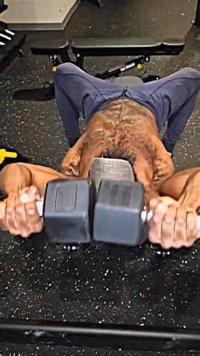 Pullovers to Explode Your Back ⚡