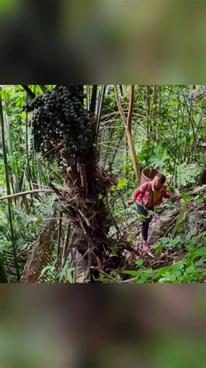 Gardening as a Single Mom: Harvest Vlog Insights