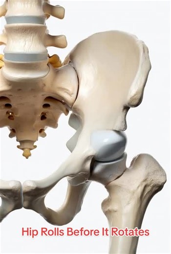Hip Rolls Before It Rotates Your hip doesn’t rotate first. It rolls along the socket — then turns. Femoral head rolls along acetabulum surface → transitions into rotation → returns via same rolling path → smooth controlled loop- #HipAnatomy #Biomechanics #HumanDesign #AnatomyTok #Medical3D