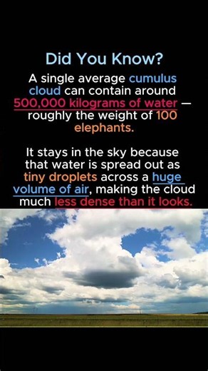 How Can This Float in the Sky? ☁️
