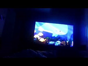 babyfirsttv nighttime program