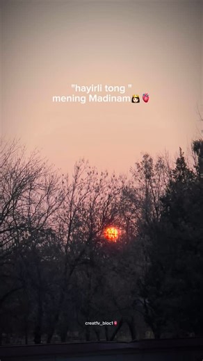 sᴛᴏʀɪᴇs❤️‍🔥 on Instagram: "❤️🫆"