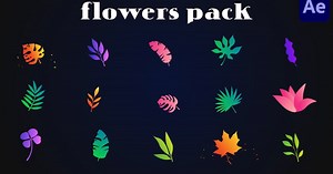 Colorful Flowers Pack for After Effects
