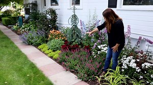 Tour of Our West Side Garden! 💚🌿 | Garden Answer