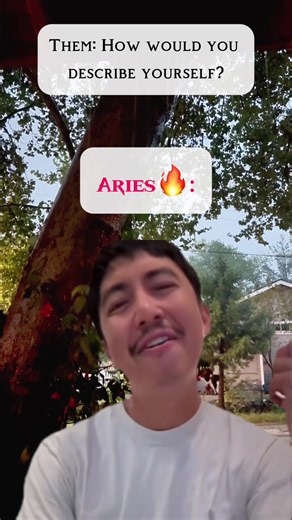 Aries Zodiac Traits and Compatibility Guide