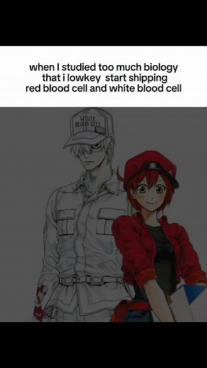 Cute Characters in Cells At Work Explained