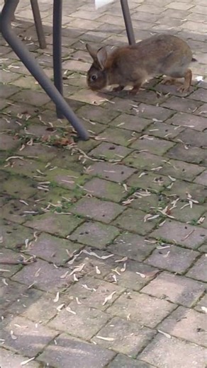 Sei Fantastica 🧐😜