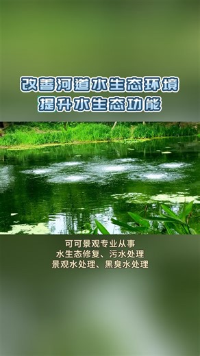 改善河道水生态环境，提升水生态功能！
