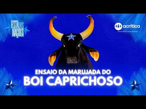 ENSAIO DA MARUJADA DO BOI CAPRICHOSO | A CRÍTICA