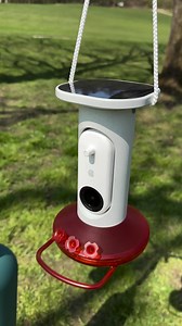 16K views · 1.9K reactions | Reconnect with nature by receiving stunning images of your backyard hummingbird!  AI recognizes 350+ hummingbird species  Gorgeous close-up photos & videos ‼️ Automatic visitor alerts Capture, collect, and share your photos to delight your friends and family. | Birdbuddy | Facebook