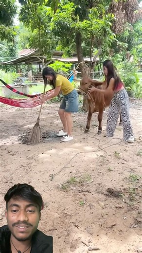 Building Wooden Log Cabin in Forest 🌲 | Survival House Step by Step” AV- 276।