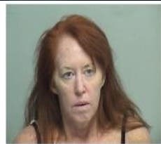 Arrest Warrants For Lake Villa Duo Leads To 4 In Custody: Sheriff