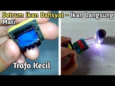 Cara Membuat Setrum ikan Sederhana Yang Baik