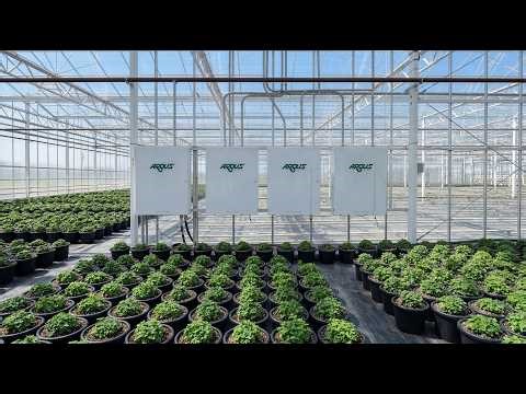 Argus Axia Greenhouse & Indoor Growing Control System