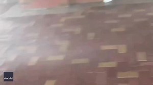 142K views · 1.5K reactions | Jim Cantore had a close call with a flying tree limb. He’s lucky this was all that happened. Ferocious winds in Cayo Costa at Hurricane Ian’s landfall. | Fox 26 Meteorologist Mike Iscovitz | Facebook