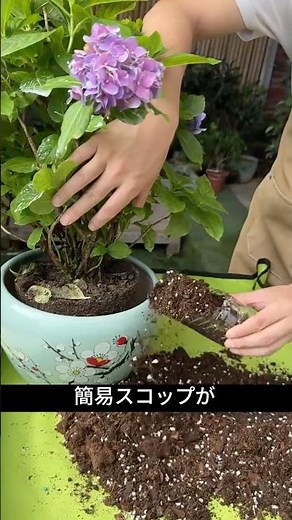 99% of plastic bottles are thrown away / But they're actually a godsend for gardening!