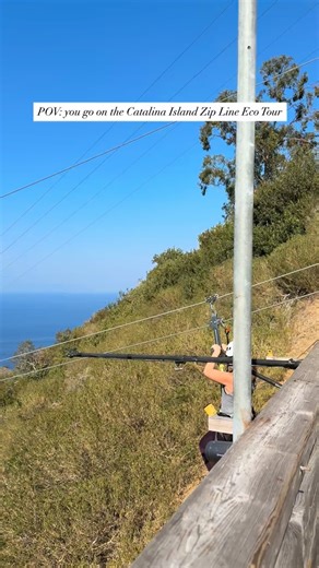 The Catalina Island Zip Line Eco Tour is Catalina’s top-rated adventure. Come see why on your next visit! #visitcatalinaisland #ziplinecatalina #zipcatalina | Catalina Island Company